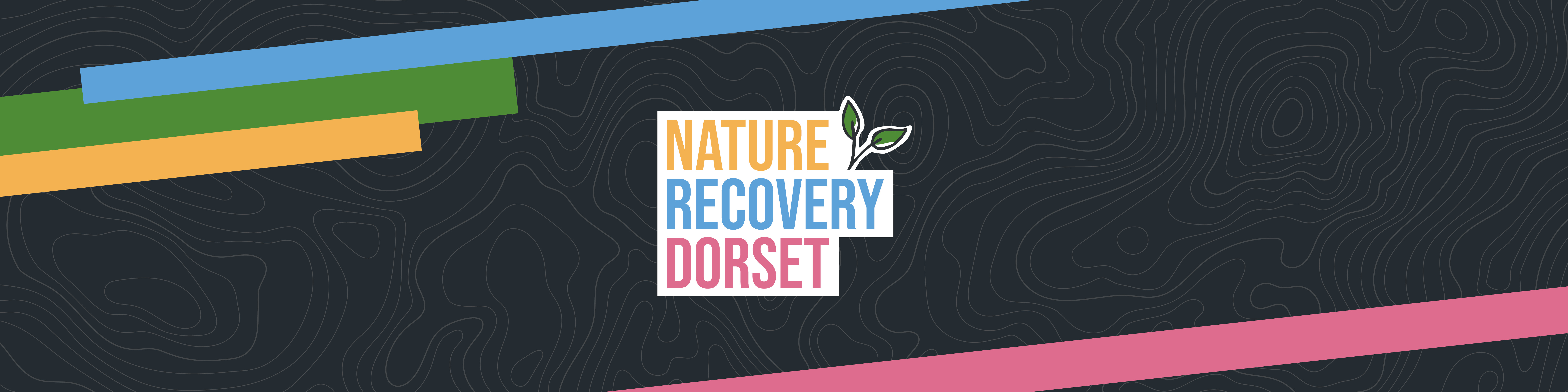 This is the Nature Recovery Dorset logo.