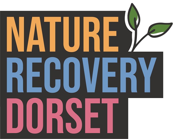 Image showing the Nature Recovery Dorset logo