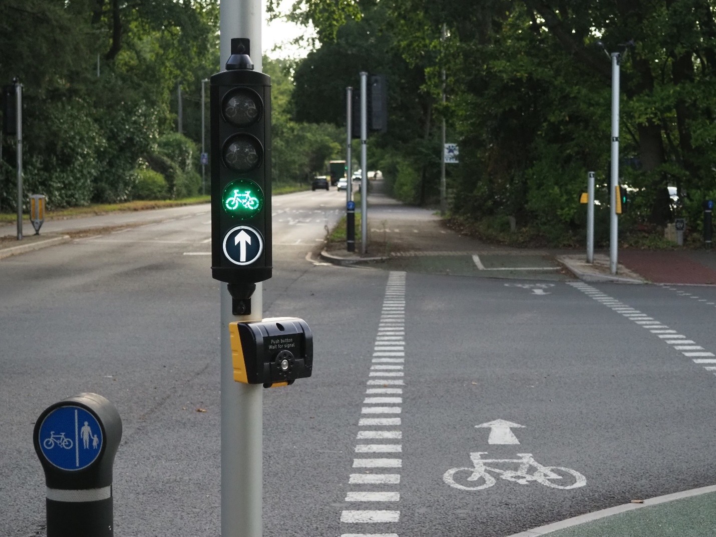 Photo of segregated cycling infrastructure in Dorset.